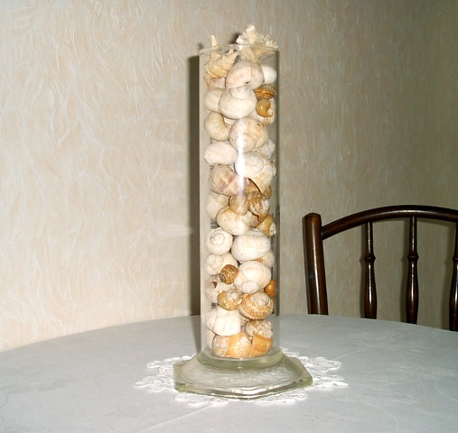 Mušle ve skleněné dóze